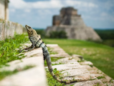marv-watson-E_ZF5s6L-Kk-unsplash